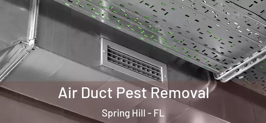 Air Duct Pest Removal Spring Hill - FL