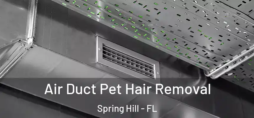  Air Duct Pet Hair Removal Spring Hill - FL