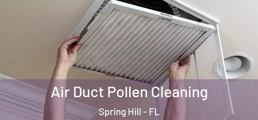Air Duct Pollen Cleaning Spring Hill - FL