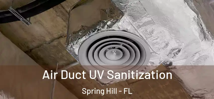 Air Duct UV Sanitization Spring Hill - FL