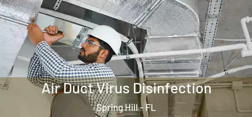 Air Duct Virus Disinfection Spring Hill - FL