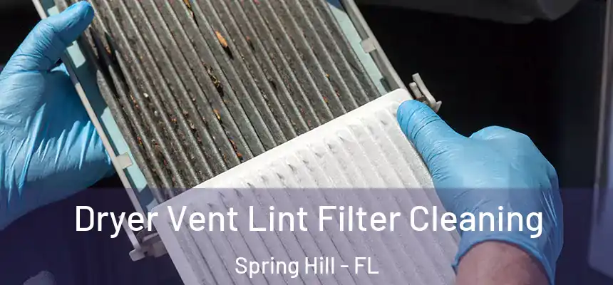 Dryer Vent Lint Filter Cleaning Spring Hill - FL