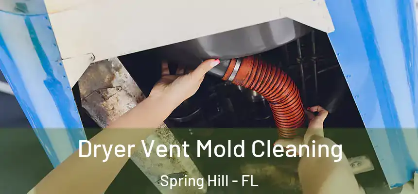 Dryer Vent Mold Cleaning Spring Hill - FL