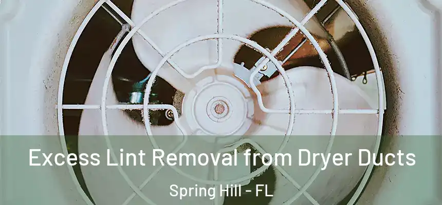 Excess Lint Removal from Dryer Ducts Spring Hill - FL