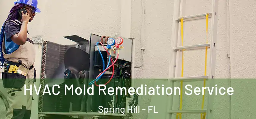 HVAC Mold Remediation Service Spring Hill - FL