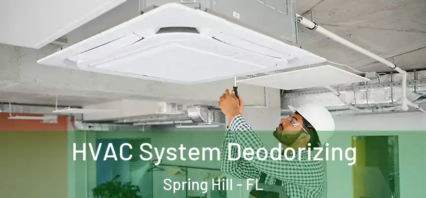HVAC System Deodorizing Spring Hill - FL