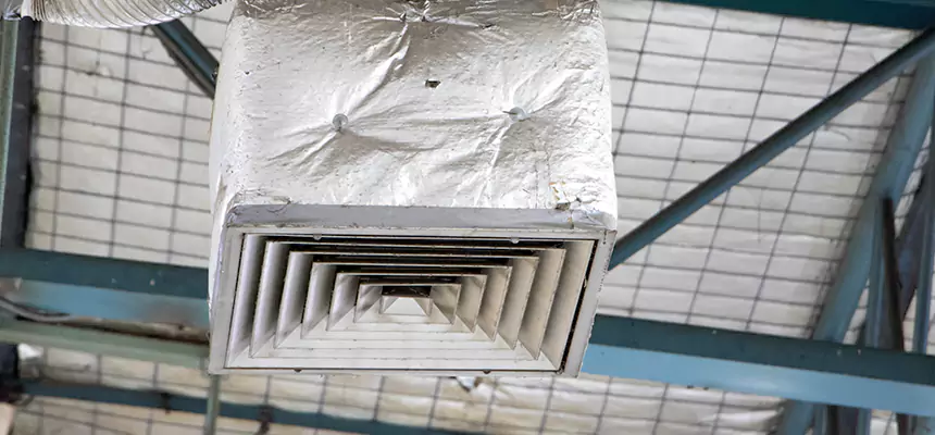 Our HVAC Mold Remediation Service Services in Spring Hill, FL