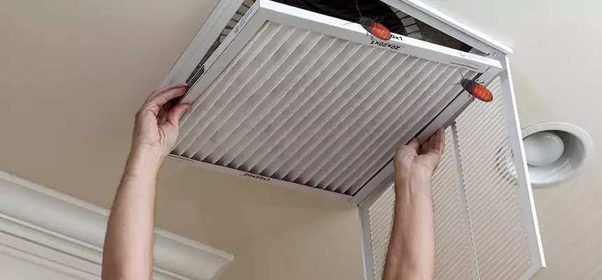 Our Insect Removal from Air Ducts Services in Spring Hill, FL