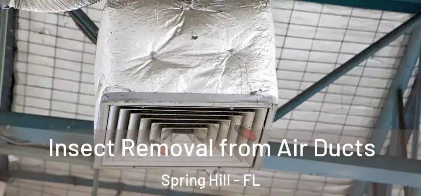 Insect Removal from Air Ducts Spring Hill - FL