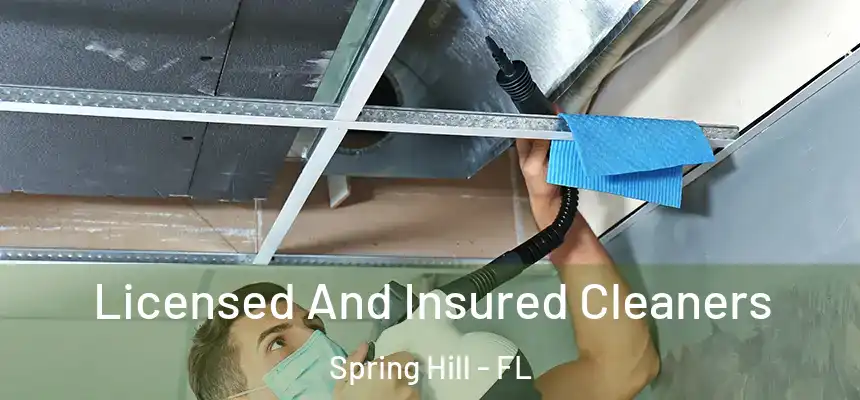 Licensed And Insured Cleaners Spring Hill - FL