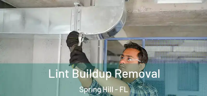 Lint Buildup Removal Spring Hill - FL