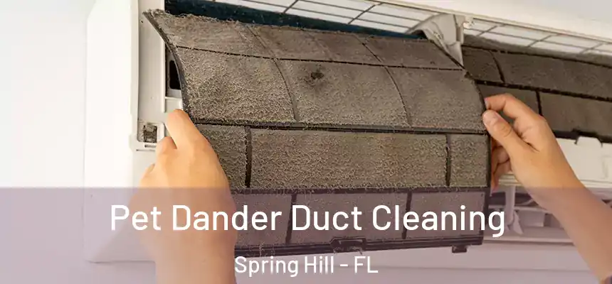 Pet Dander Duct Cleaning Spring Hill - FL