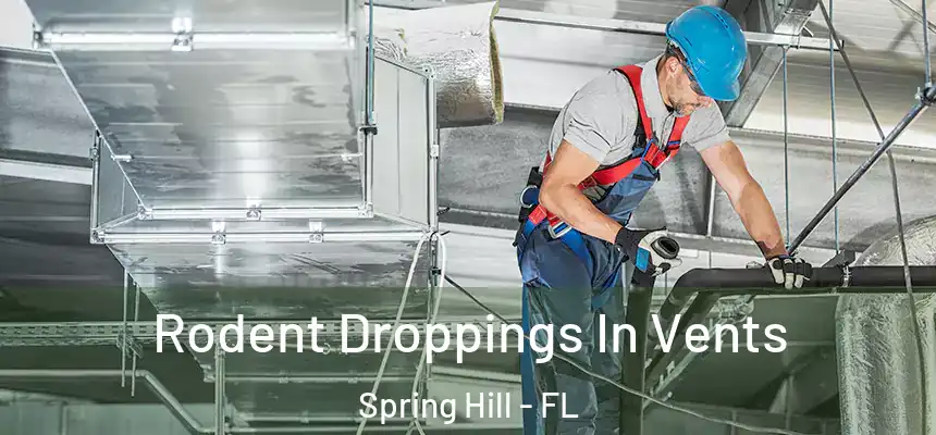 Rodent Droppings In Vents Spring Hill - FL