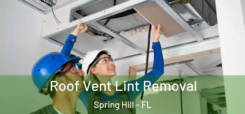 Roof Vent Lint Removal Spring Hill - FL