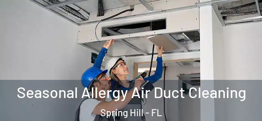  Seasonal Allergy Air Duct Cleaning Spring Hill - FL