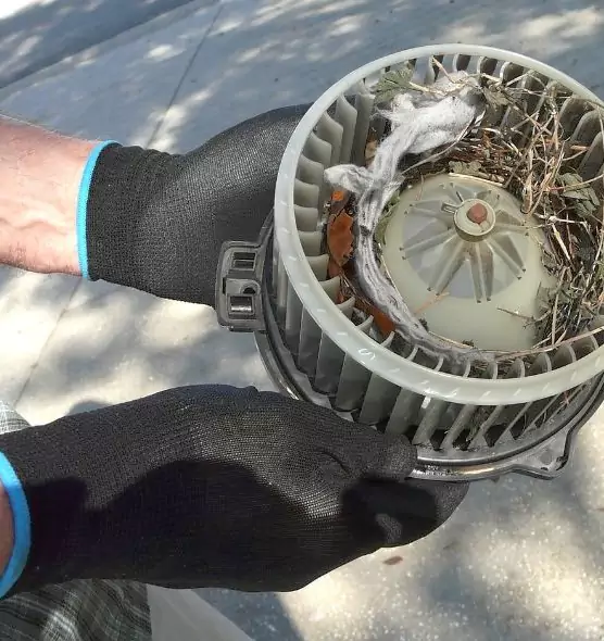 About Air Duct Mice Removal in Spring Hill, FL