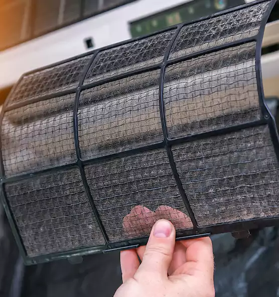 About Pet Dander Duct Cleaning in Spring Hill, FL